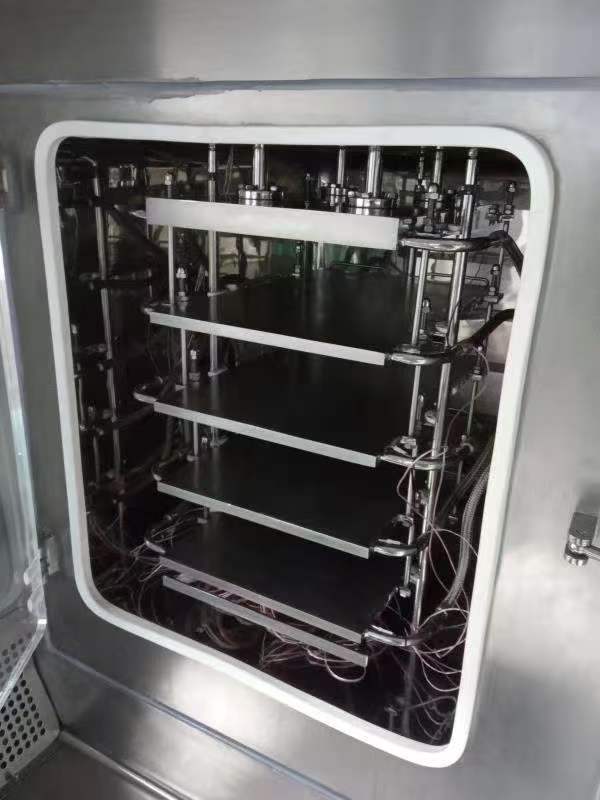 Inflatable silicone seal installed on sterilizer cabinet door