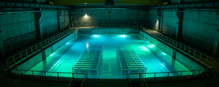 Inflatable Seals for a Nuclear Plant Application